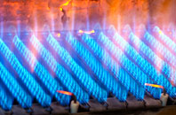 Drinisiadar gas fired boilers